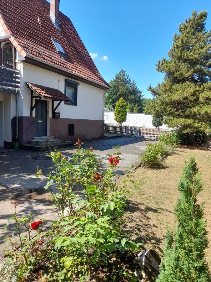 Ferienhaus International Bad Harzburg Ngoại thất bức ảnh